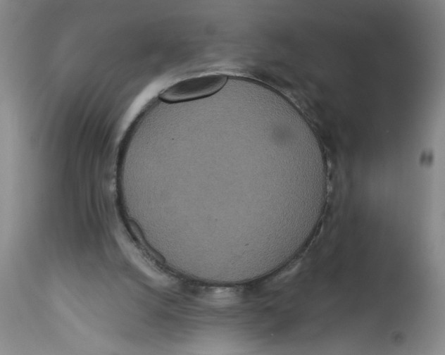 X0000112820056200909181635