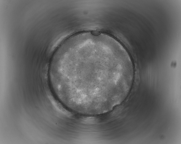 X0000112820058200909181636