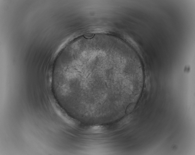 X0000112820059200909181636