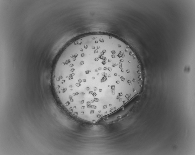 X0000112820060200909181636