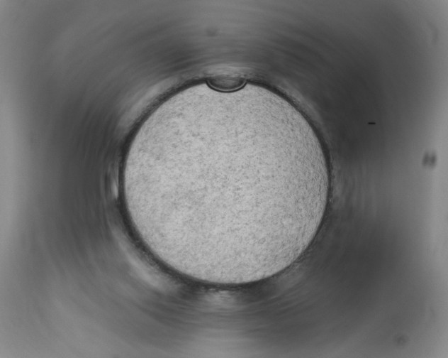 X0000112820062200909181636