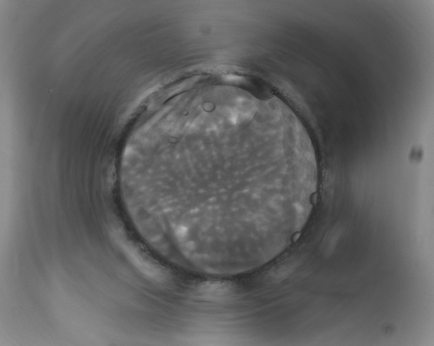 X0000112820063200909181636