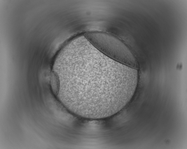 X0000112820064200909181636