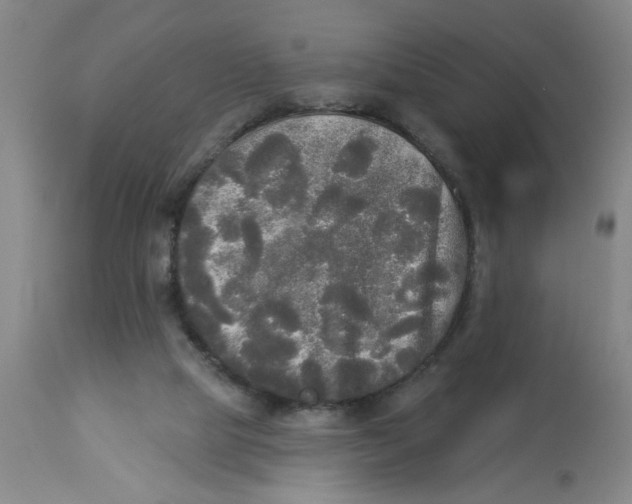 X0000112820065200909181636