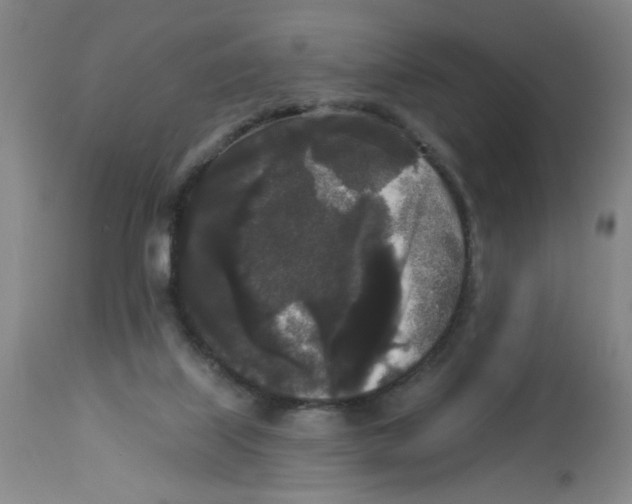 X0000112820067200909181636