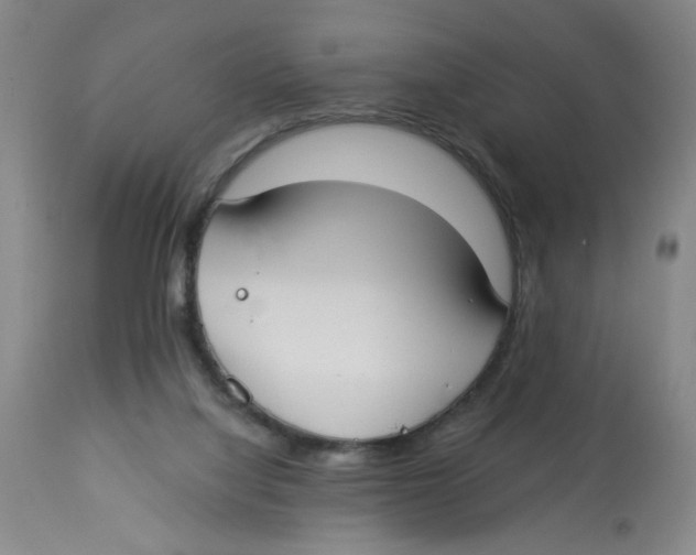 X0000112820068200909181636