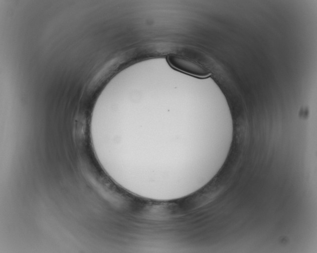 X0000112820072200909181636