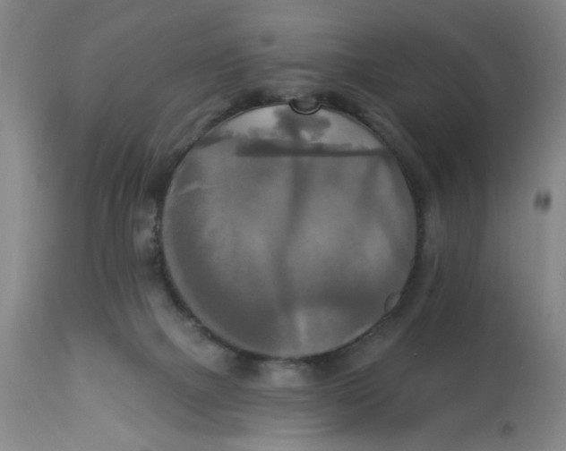 X0000112820073200909181636