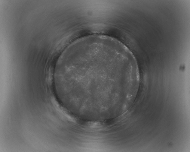 X0000112820074200909181636