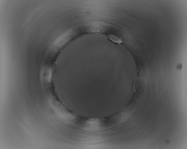 X0000112820076200909181636