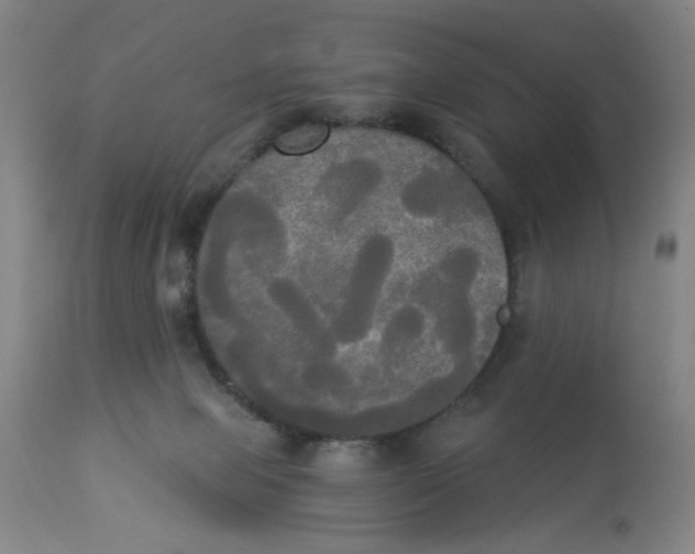 X0000112820077200909181636