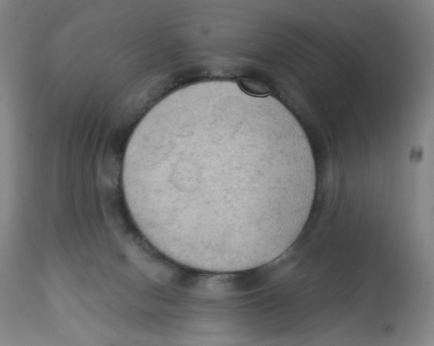 X0000112820078200909181636