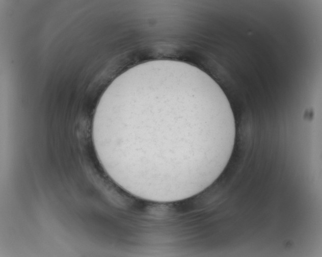 X0000112820079200909181636