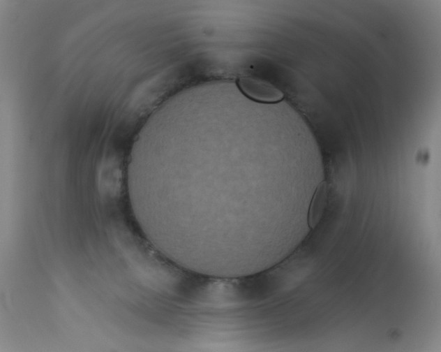 X0000112820080200909181636