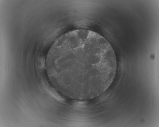 X0000112820081200909181636