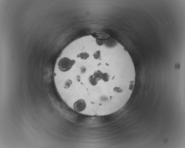 X0000112820082200909181636