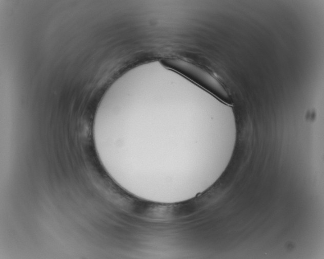 X0000112820084200909181636