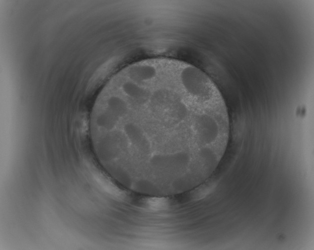 X0000112820085200909181636