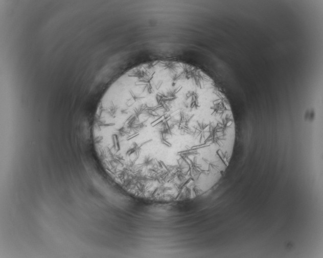 X0000112820086200909181636