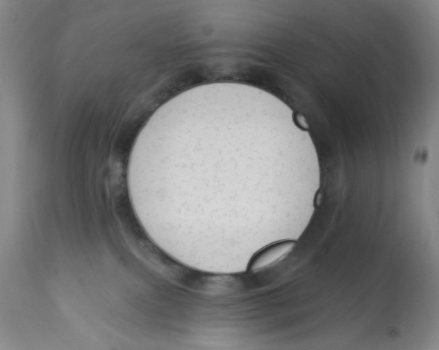 X0000112820087200909181636