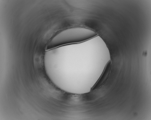 X0000112820088200909181636