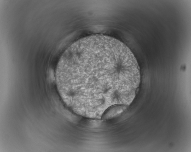X0000112820089200909181636