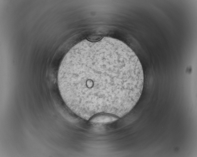 X0000112820091200909181636