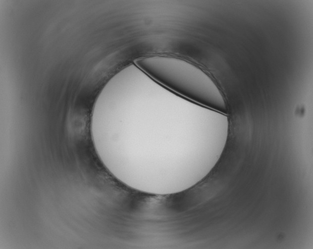 X0000112820092200909181636