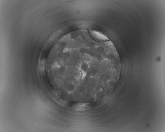 X0000112820093200909181636