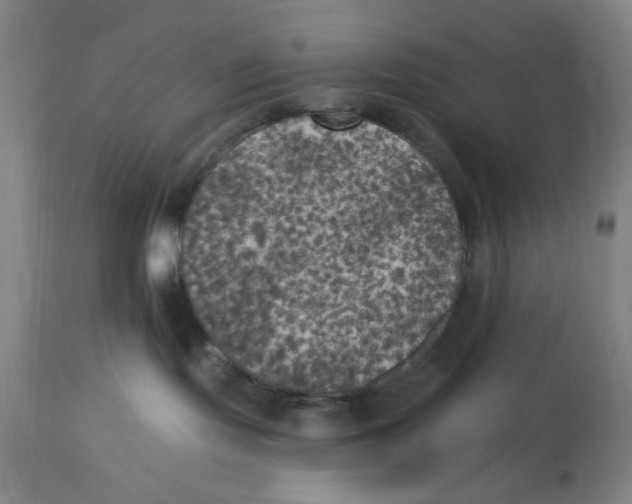 X0000112820095200909181636