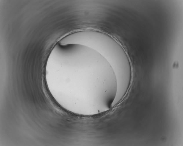 X0000112820097200909181635