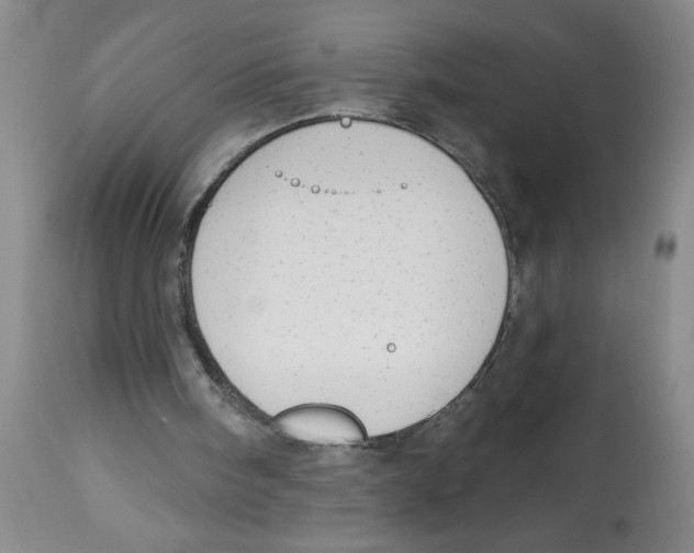 X0000112820098200909181635