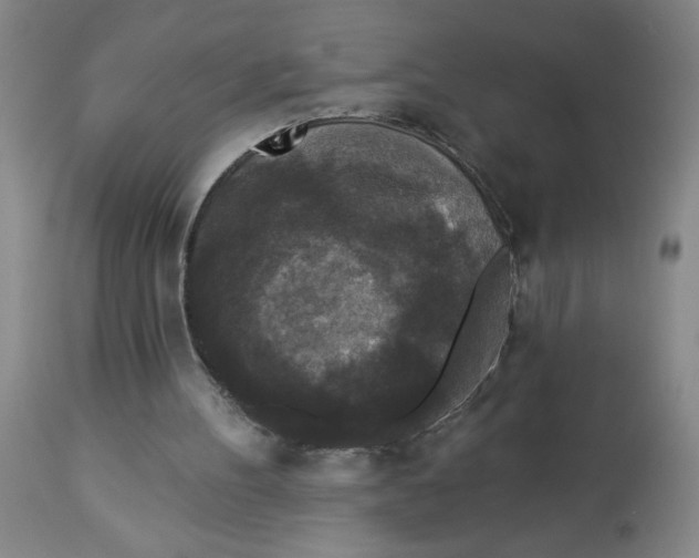 X0000112820100200909181635