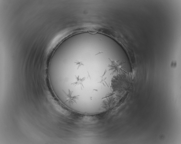 X0000112820101200909181635