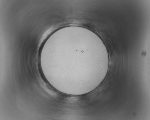 X0000112820102200909181635