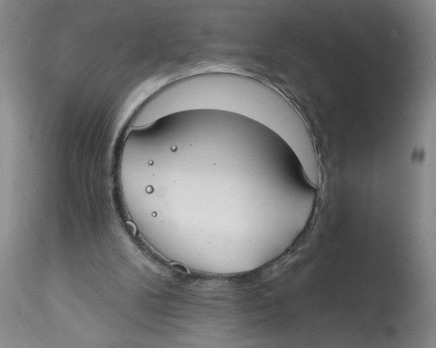 X0000112820104200909181635