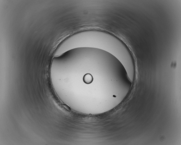 X0000112820105200909181635