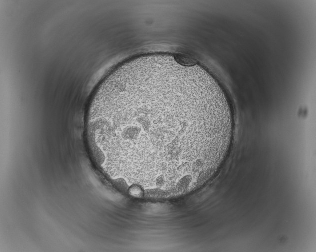 X0000112820107200909181635