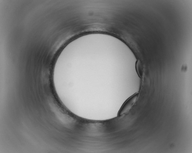 X0000112820108200909181635