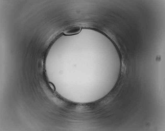 X0000112820109200909181635