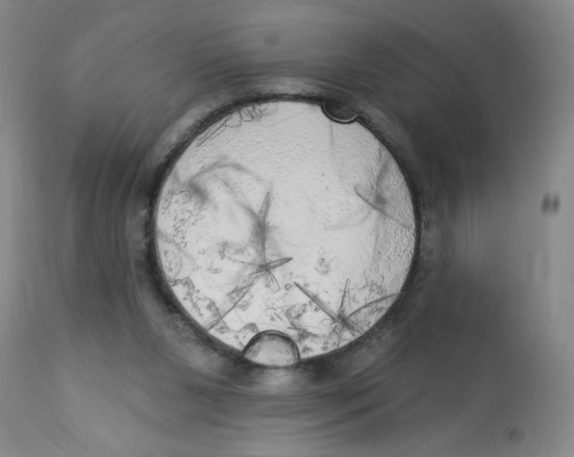X0000112820111200909181635