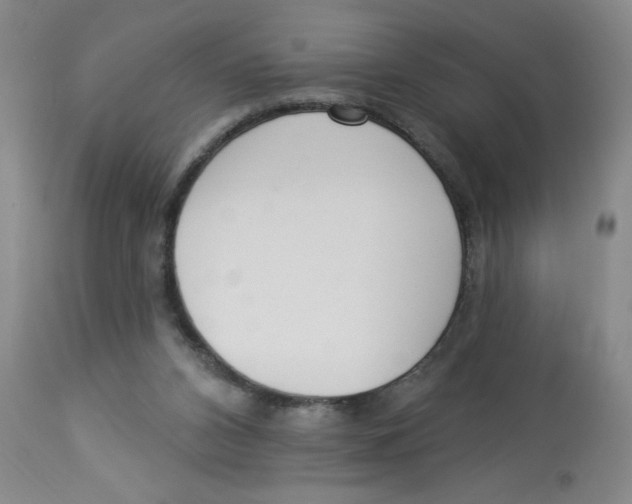 X0000112820112200909181635