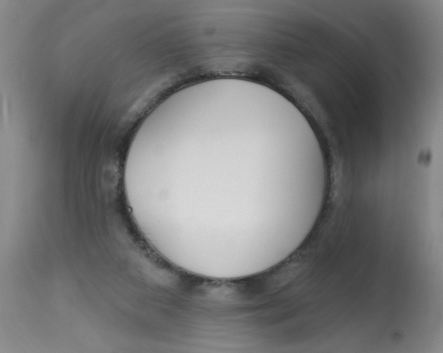 X0000112820113200909181635