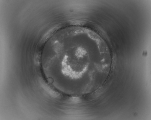 X0000112820114200909181635