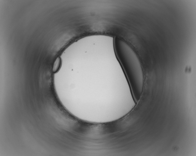 X0000112820116200909181635