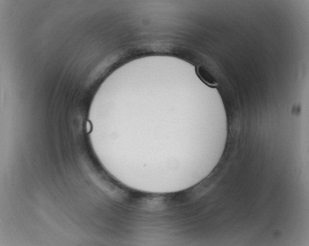 X0000112820120200909181635