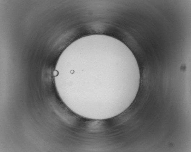 X0000112820122200909181635