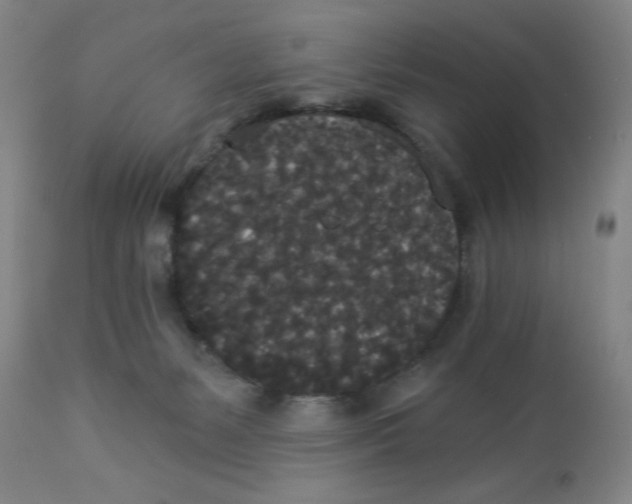 X0000112820127200909181635