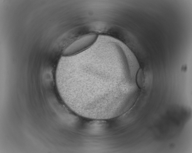 X0000112820128200909181635