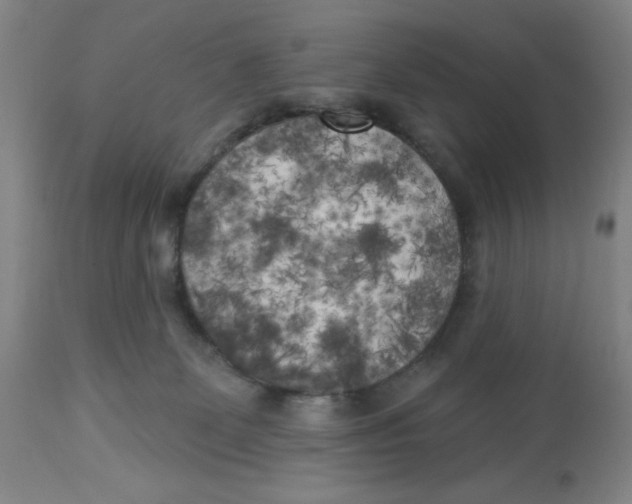 X0000112820131200909181635
